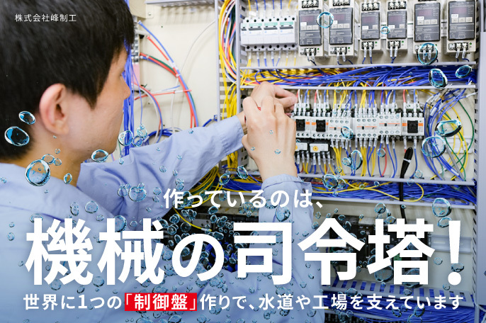株式会社峰制工